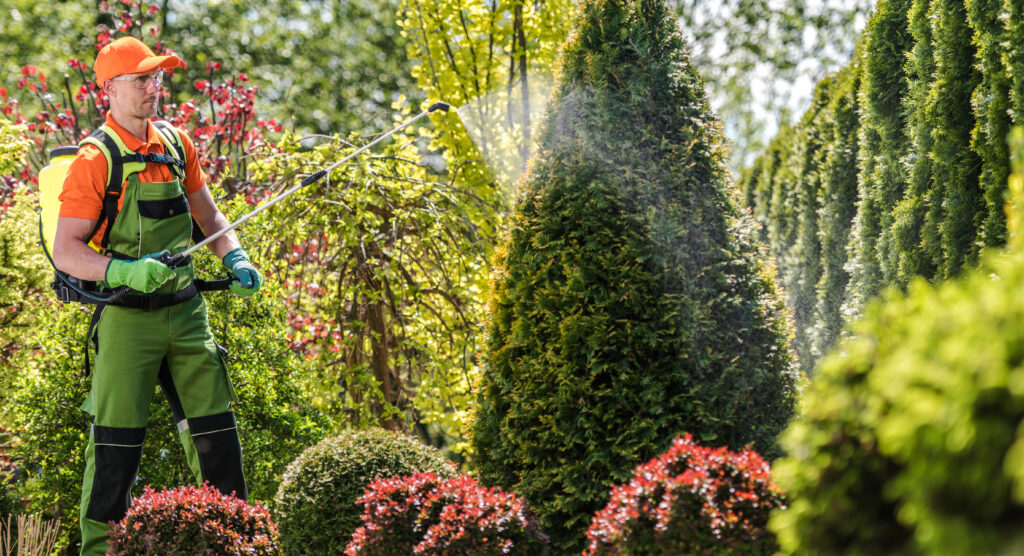 pest control spraying by professional gardener