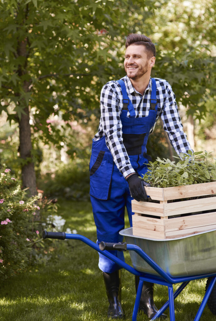 cheerful gardener planting seedling