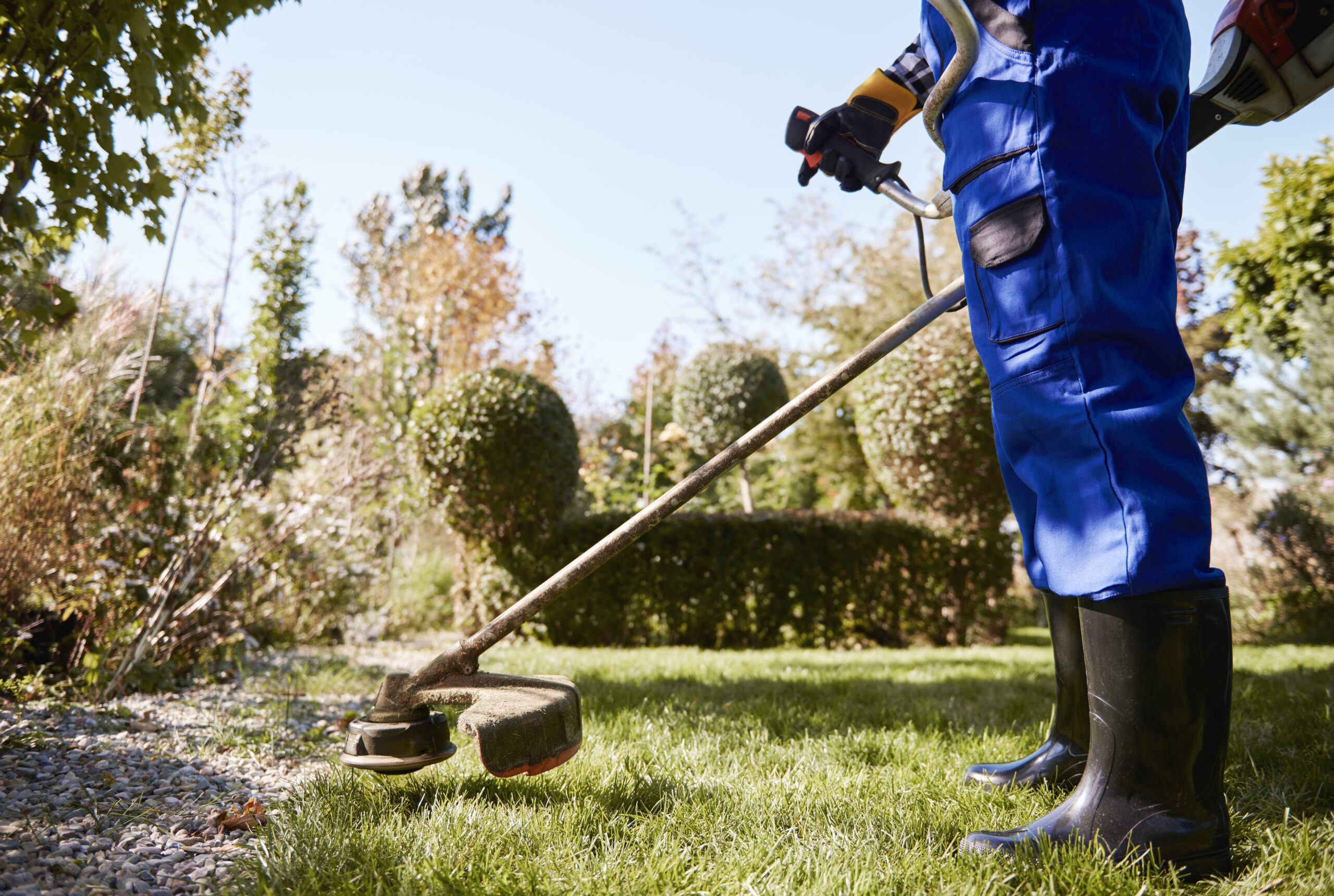 Gardening, Renovation and Maintenance Services in Dénia, Jávea and Moraira Jardineria Marina Alta Scaled