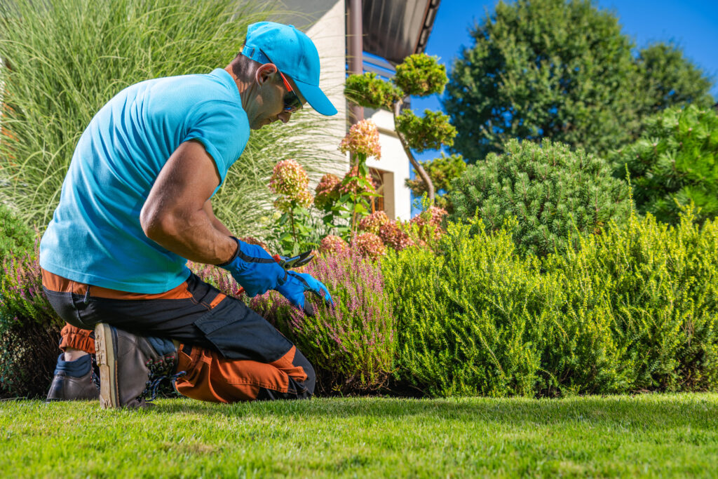 backyard plants maintenance performed by professional garden worker